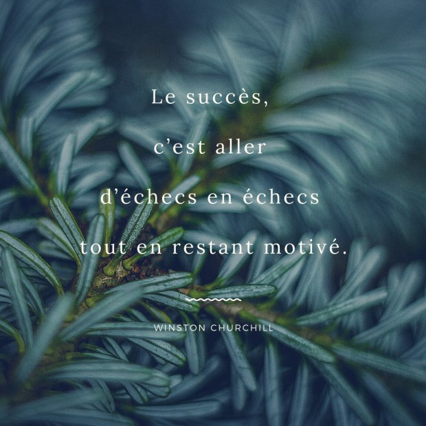 Citation inspirante Echec par Elise Fauvel
