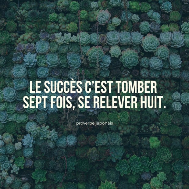 Citation inspirante Echec par Elise Fauvel