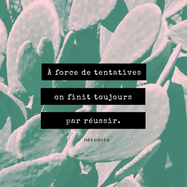 Citation inspirante Echec par Elise Fauvel