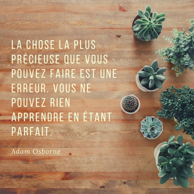 Citation inspirante Echec par Elise Fauvel