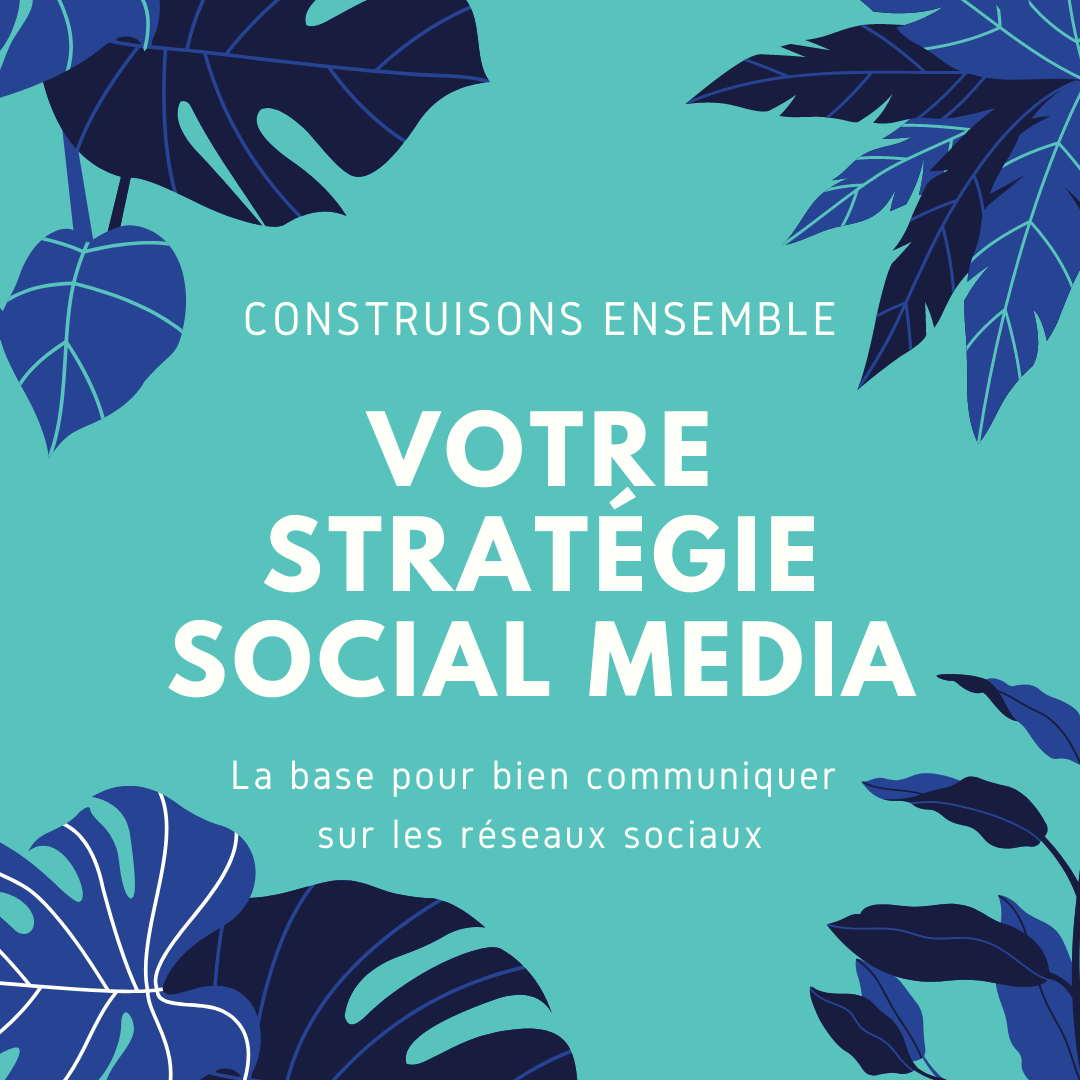 Stratégie Social Media - Elise Fauvel, Community Manager à Lille freelance